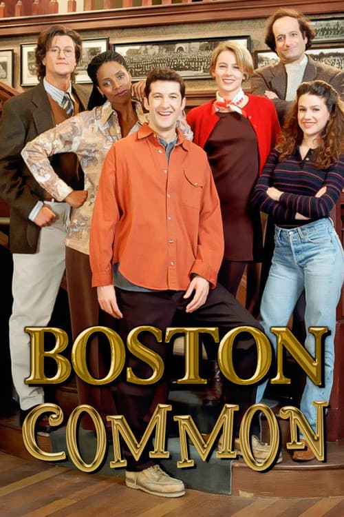 Boston Common official trailer poster
