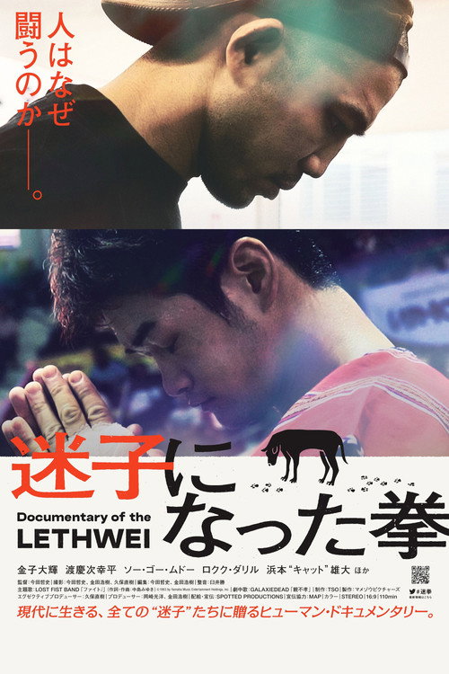 Lost Fist official trailer poster