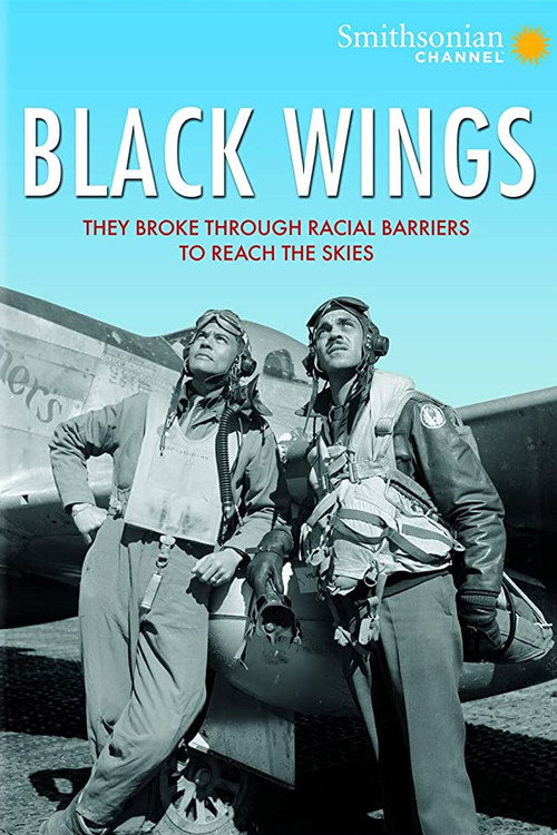 Black Wings official trailer poster