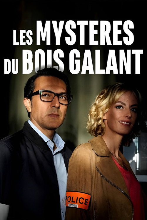Murder In Rochefort official trailer poster