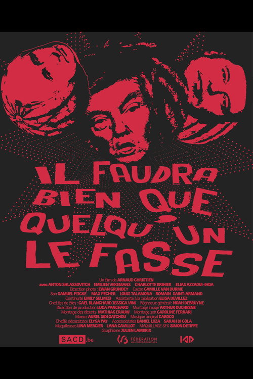 Il faudra bien que quelqu'un le fasse official trailer poster