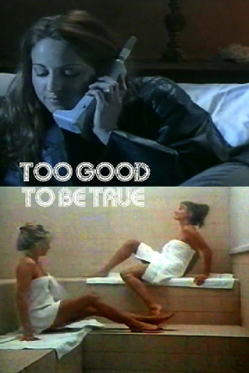 Too Good to Be True official trailer poster