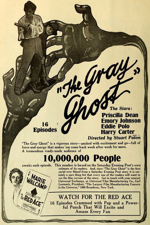 The Gray Ghost official trailer poster