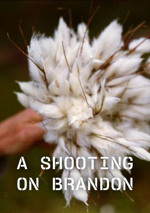 A Shooting on Brandon official trailer poster