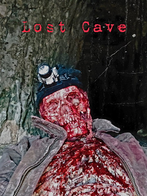 Lost Cave official trailer poster