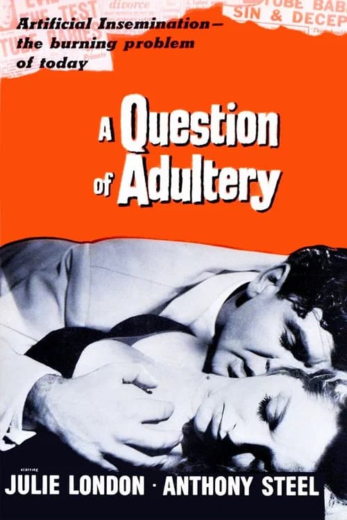 A Question of Adultery official poster