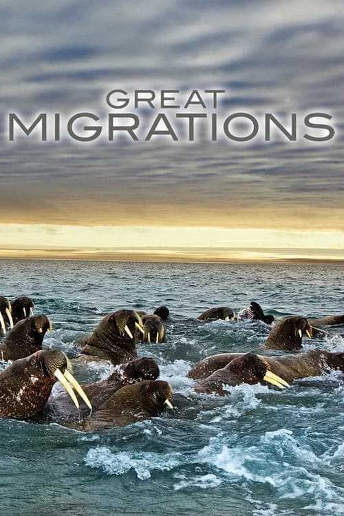 GREAT_MIGRATIONS-Disc1 official trailer poster