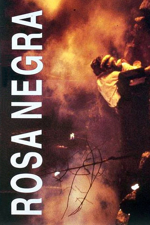 Rosa Negra official trailer poster