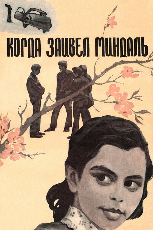 When Almonds Blossomed official trailer poster