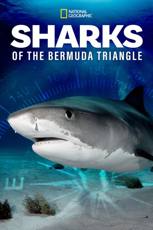 Sharks of the Bermuda Triangle official trailer poster