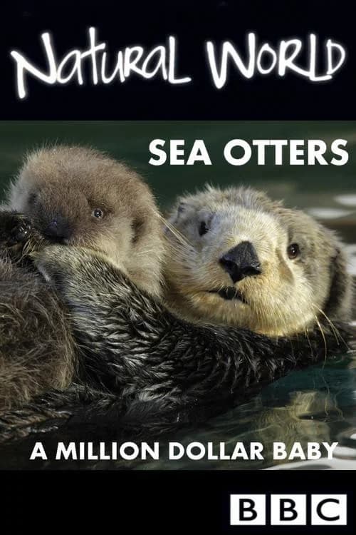 Sea Otters: A Million Dollar Baby official trailer poster