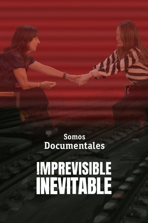 Imprevisible, inevitable: un trajecte del metro a la Dana de València official trailer poster
