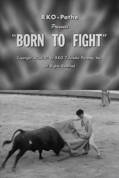 Born to Fight official trailer poster