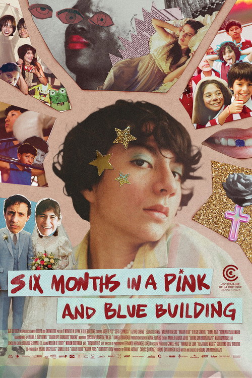 Six Months in a Pink and Blue Building official trailer poster