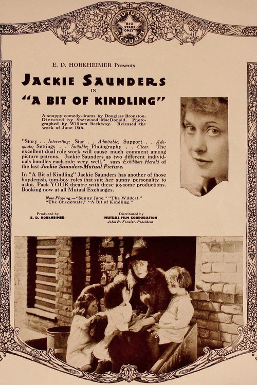 A Bit of Kindling official trailer poster