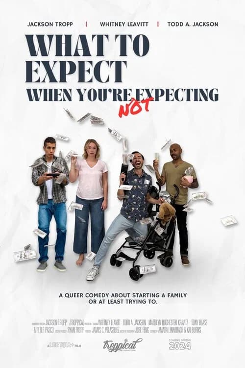 What to Expect When You're Not Expecting official trailer poster