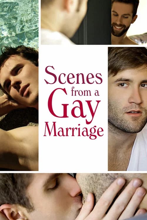 Scenes from a Gay Marriage official trailer poster
