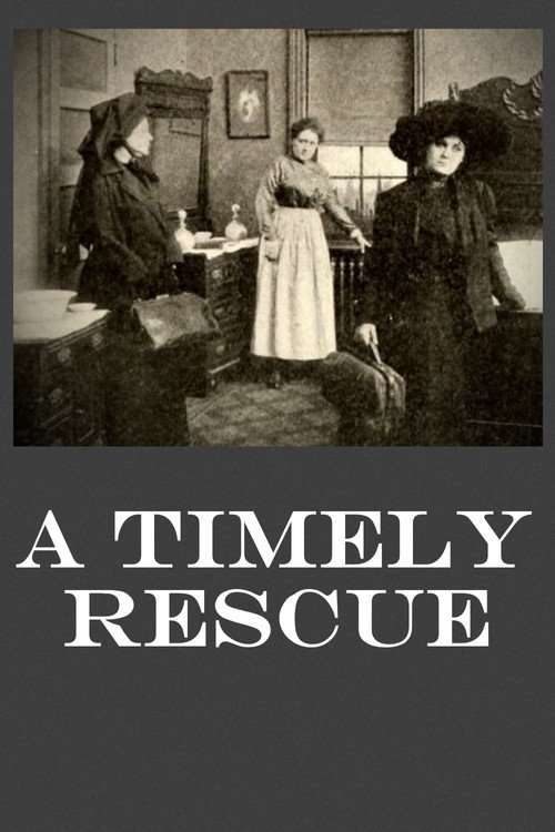 A Timely Rescue official trailer poster
