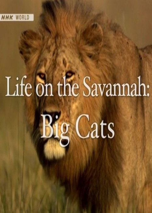Life on the Savannah: Big Cats official trailer poster