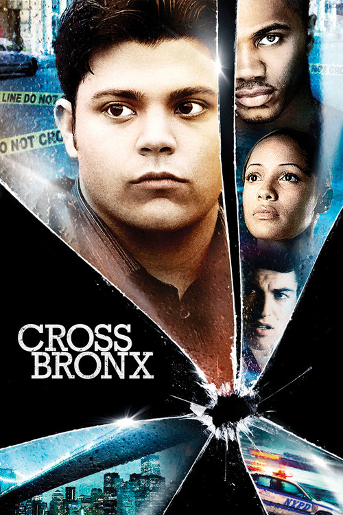Cross Bronx official trailer poster