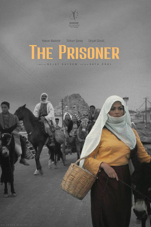 The Prisoner official trailer poster