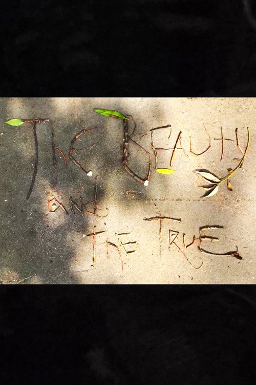 The Beauty and the True official trailer poster