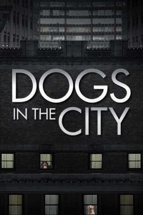 Dogs In The City official trailer poster