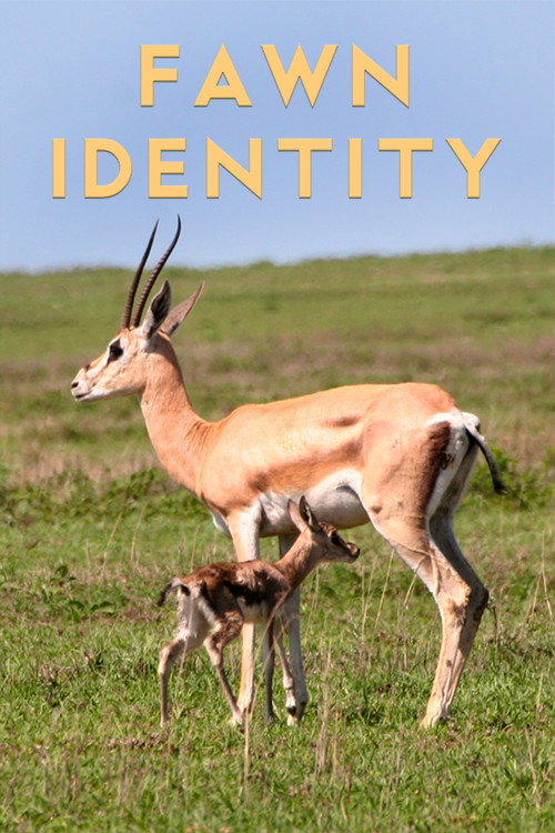 Fawn Identity official trailer poster