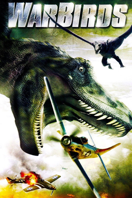 Warbirds official trailer poster