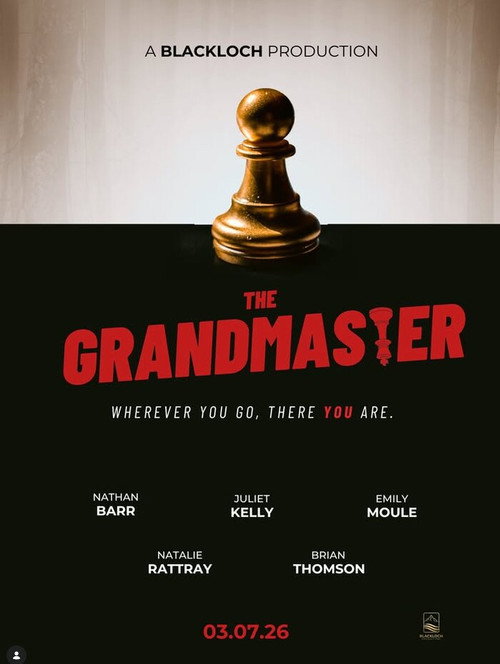 The Grandmaster official trailer poster