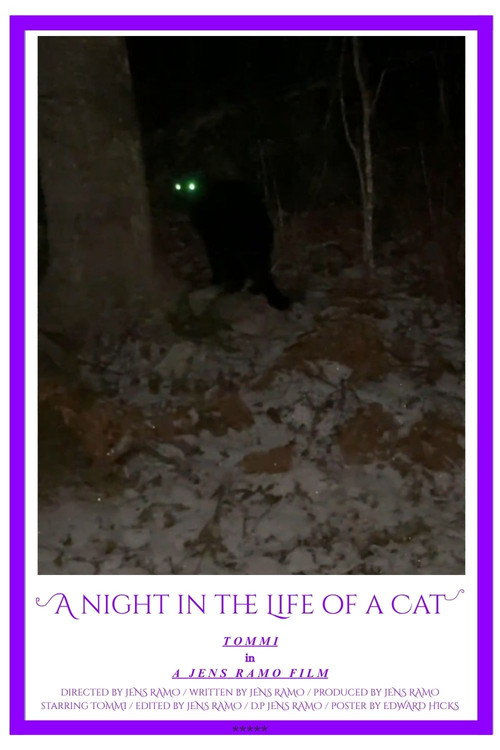A Night in the Life of a Cat official trailer poster