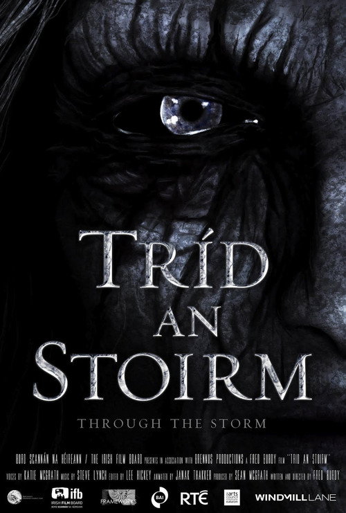 Through the Storm official trailer poster