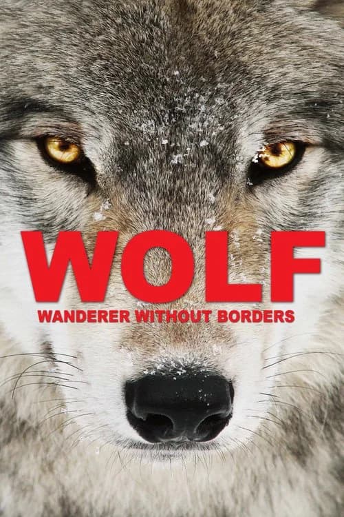 Wolf: Wanderer Without Borders official trailer poster