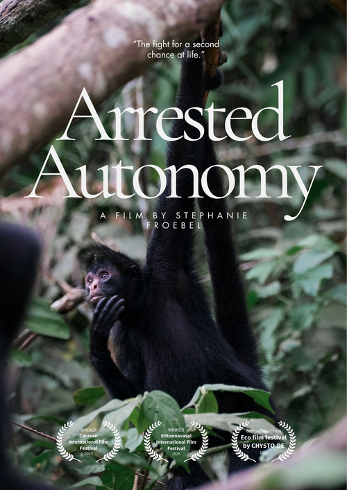 Arrested Autonomy official trailer poster