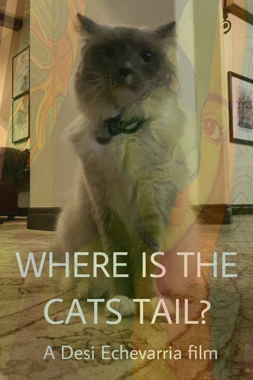 Where Is The Cat's Tail? official trailer poster