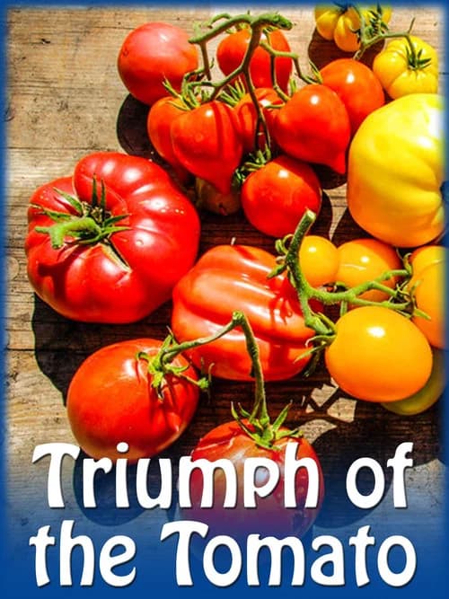 Triumph of the Tomato official trailer poster