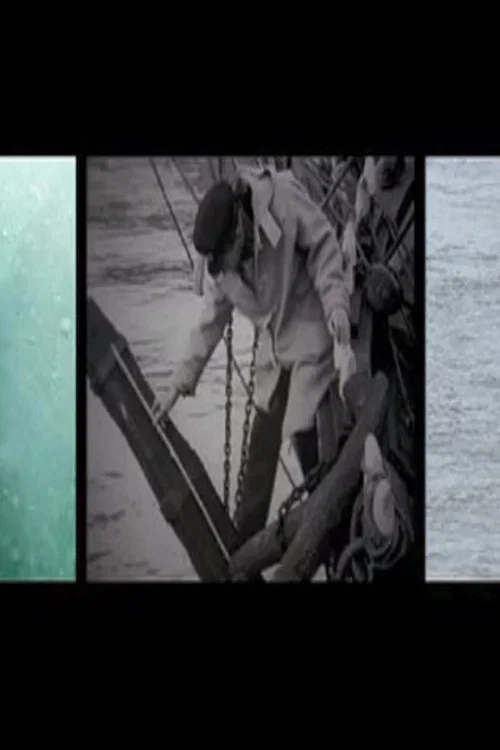 We Account the Whale Immortal official trailer poster