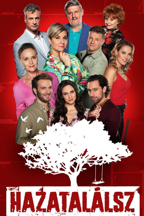 Hazatalálsz official trailer poster