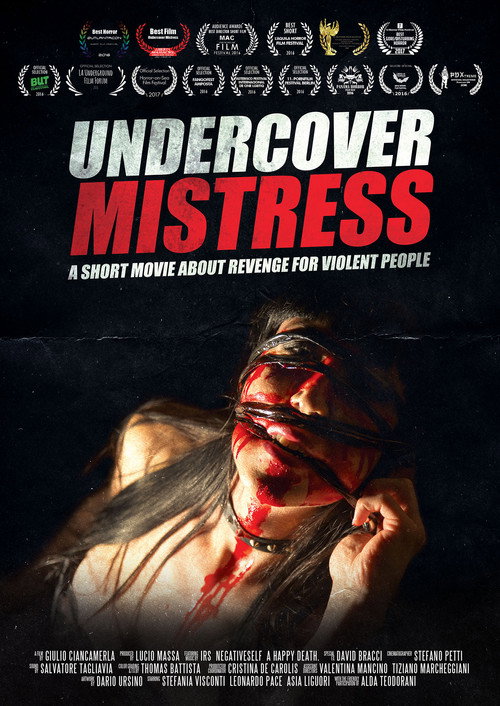 Undercover Mistress official trailer poster