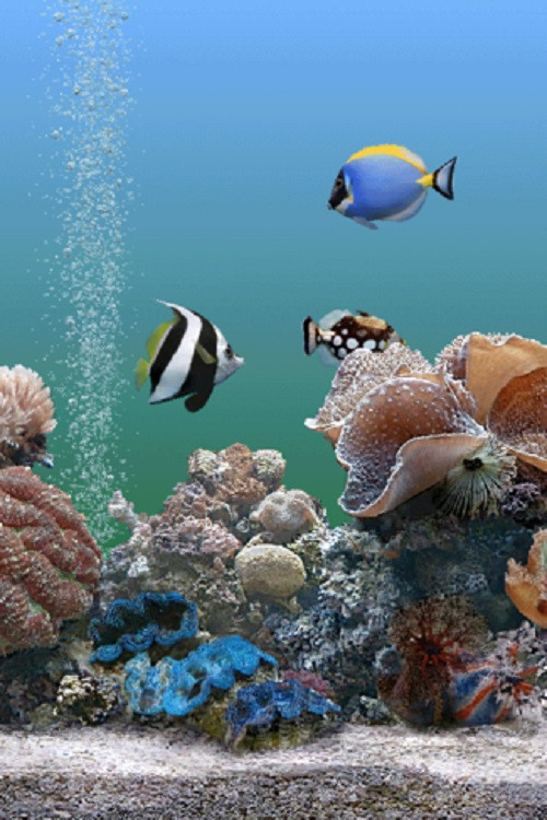 Coral Dreamscapes: An Exotic Aquarium official trailer poster