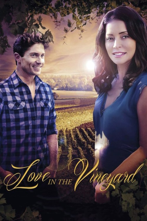 Love in the Vineyard official trailer poster