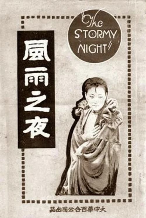 The Stormy Night official trailer poster