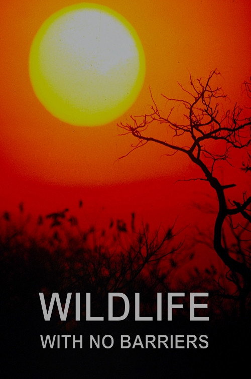 Wildlife With No Barriers official trailer poster