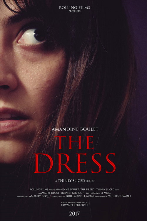 The Dress official trailer poster