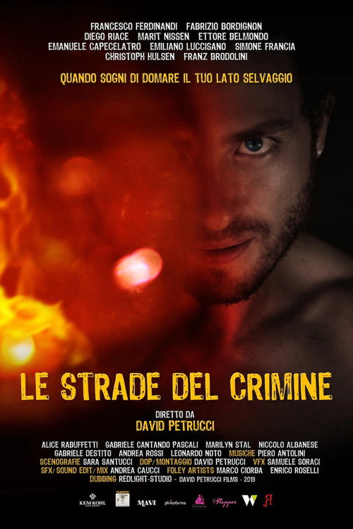 Le strade del crimine official trailer poster
