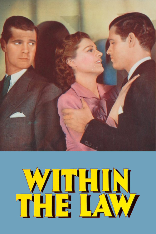 Within the Law official trailer poster
