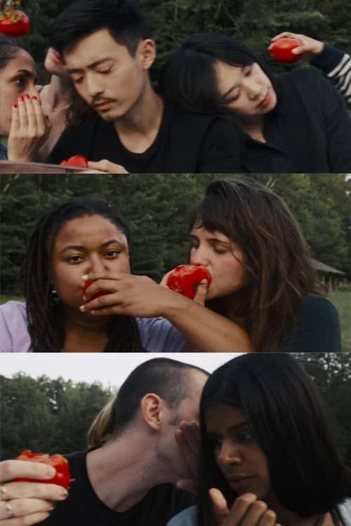 Tomatoes official trailer poster