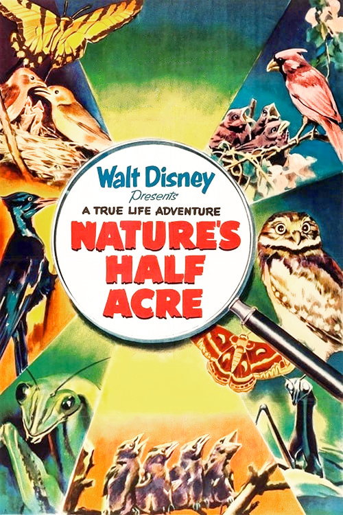 Nature's Half Acre official trailer poster