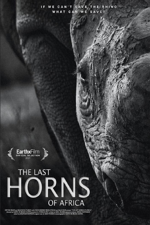 The Last Horns Of Africa official trailer poster