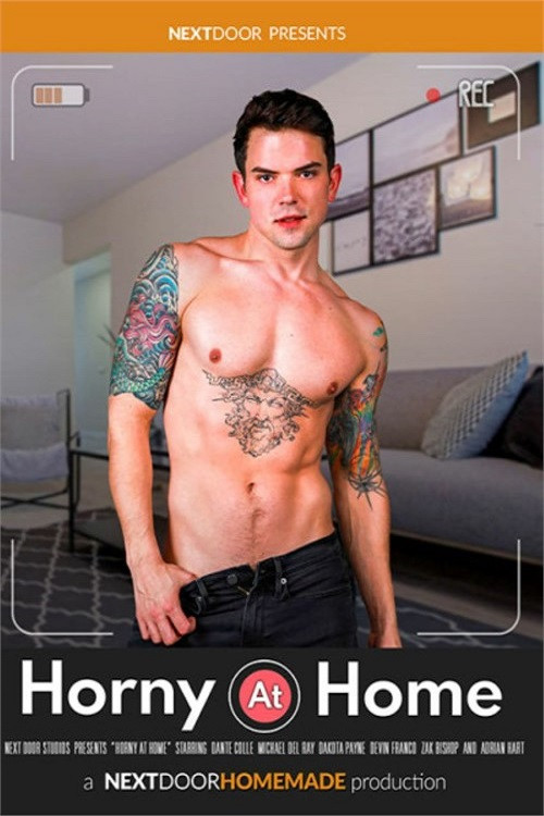 Horny at Home official trailer poster